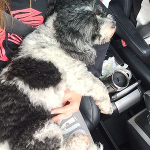 Meet your Posher, Lindsey